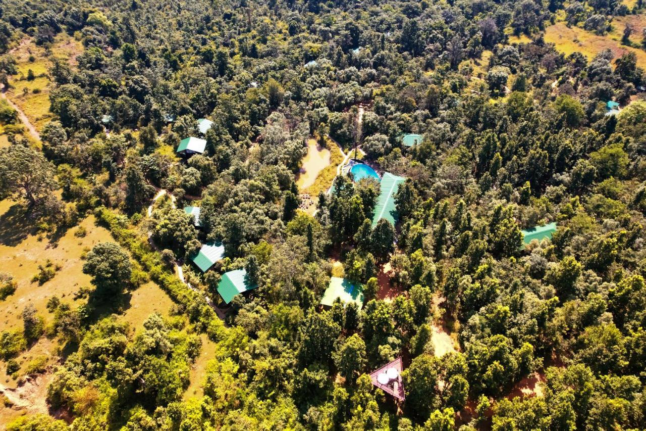 Kanha Jungle Camp Εξωτερικό φωτογραφία