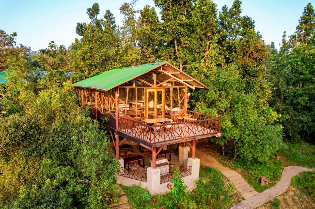 Kanha Jungle Camp Εξωτερικό φωτογραφία