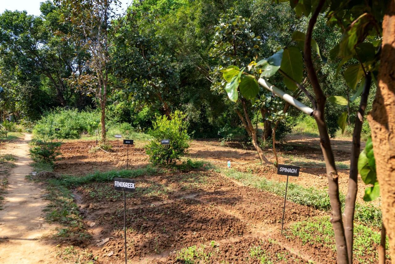 Kanha Jungle Camp Εξωτερικό φωτογραφία
