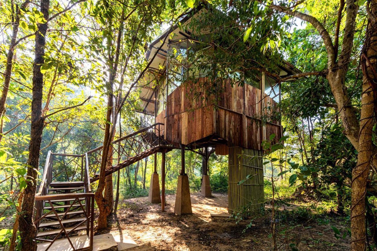 Kanha Jungle Camp Εξωτερικό φωτογραφία