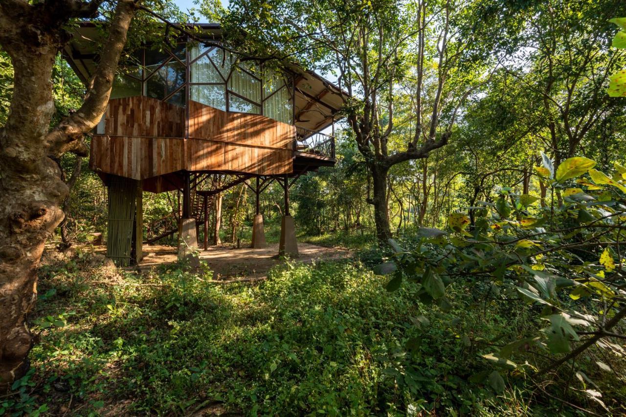 Kanha Jungle Camp Εξωτερικό φωτογραφία