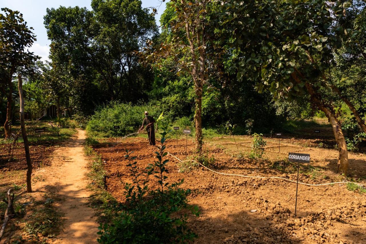 Kanha Jungle Camp Εξωτερικό φωτογραφία